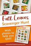 4 Seasons Scavenger Hunt Bundle for Nature Study + 3 Bonus Scavenger Hunts!