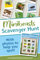 4 Seasons Scavenger Hunt Bundle for Nature Study + 3 Bonus Scavenger Hunts!