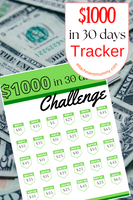 $1000 in 30 Days Challenge Tracker