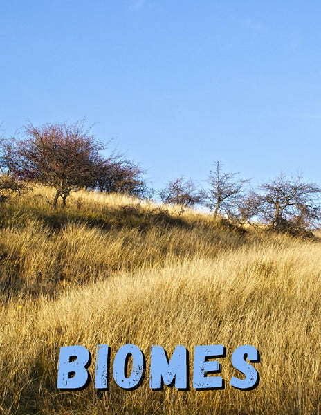 Biomes Unit Study