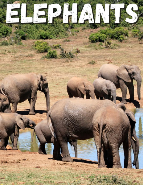 Elephants Unit Study