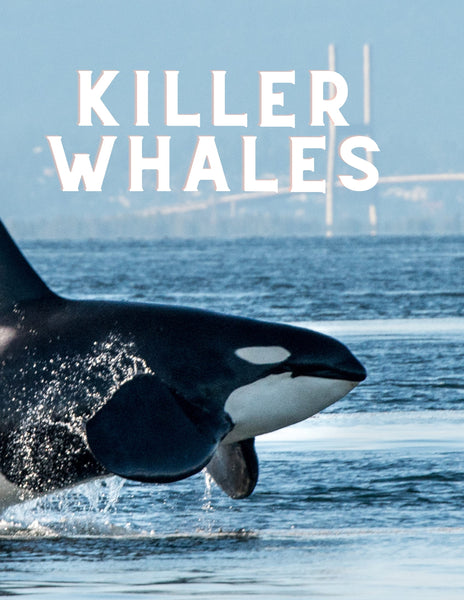 Killer Whales Unit Study