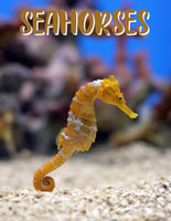 Seahorses Unit Study