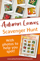 Autumn Leaves Scavenger Hunt