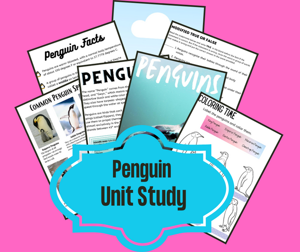 Penguins unit study
